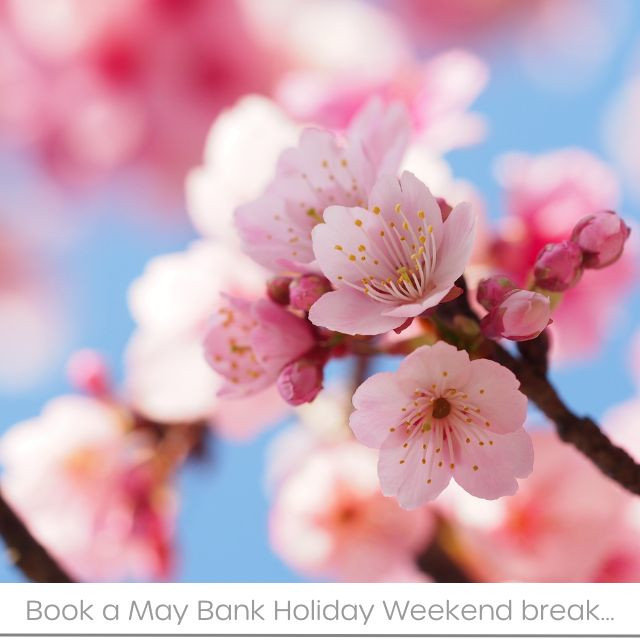May Bank Holiday Special Offers - Click here for more information and to book now!