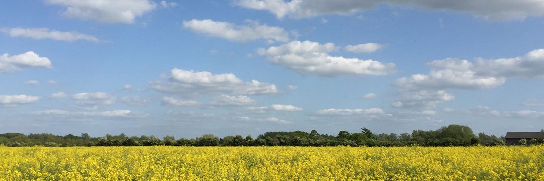June Bank Holiday Offers