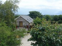 Copper Beech Farm