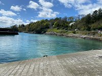 Fuchsia Lodge Glandore West Cork