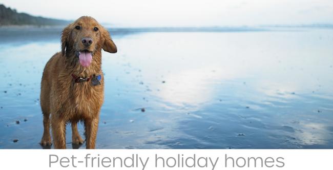 The Pet-Friendly Collection ‐ when you donâ€™t want to leave them behind