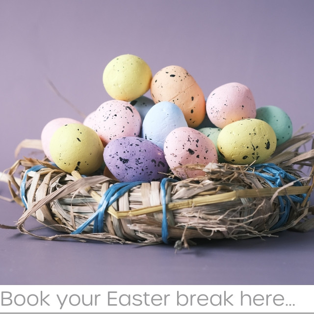 2025 Special Offers - Click here for more information and to book now!