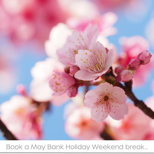 2025 Special Offers - Click here for more information and to book now!