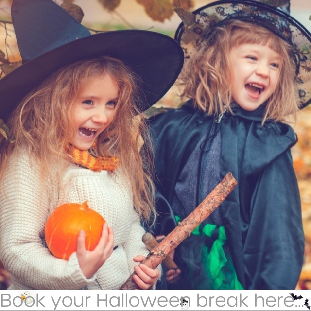 2025 Halloween Special Offers - Click here for more information and to book now!