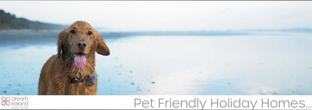 Pet Friendly Irish Holiday homes 2023